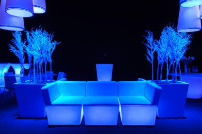 WINTER WONDERLAND  Conic lounge blue